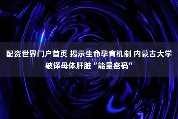 配资世界门户首页 揭示生命孕育机制 内蒙古大学破译母体肝脏“能量密码”