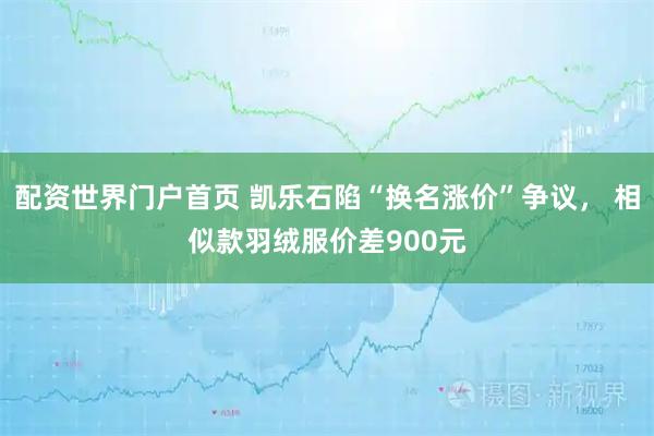 配资世界门户首页 凯乐石陷“换名涨价”争议， 相似款羽绒服价差900元
